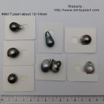 6617 tahiti pearl about 12-14mm.jpg